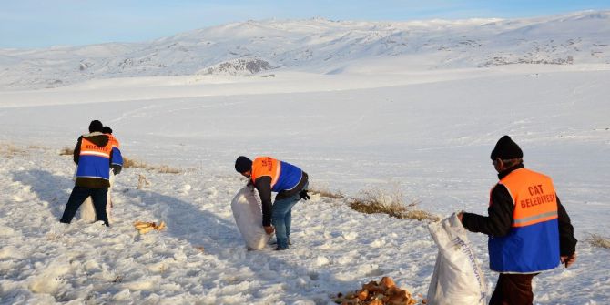 Çat Belediyesinden Yaban Hayata Destek