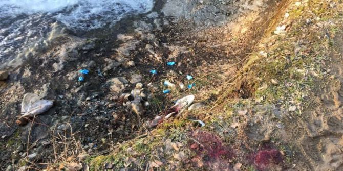 Zonguldak’ta Taksici Cinayeti