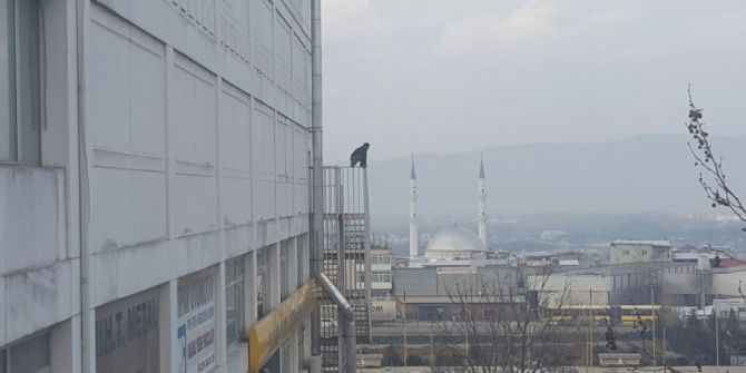 Yangın Merdiveninde Facia Teğet Geçti