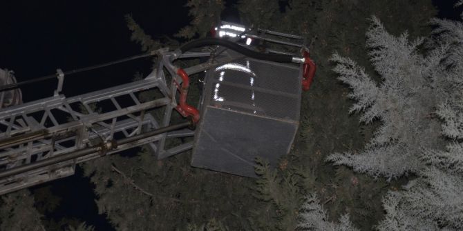 Kediyi Kurtarmak İçin Şehrin Elektrikleri Kesildi