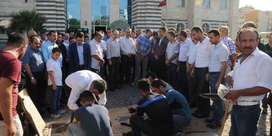 Memur-sen, Darbe Girişimi Püskürtüldüğü İçin Kurban Kesti