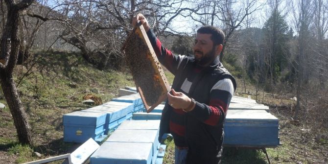 Yayladağı’nda Arıcılık Yapan Suriyeli Muhammed’den Gençlere "Bal Gibi İş" Tavsiyesi
