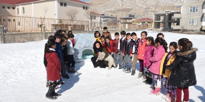 Bin 100 Süt Kutusundan Köpek Kulübesi