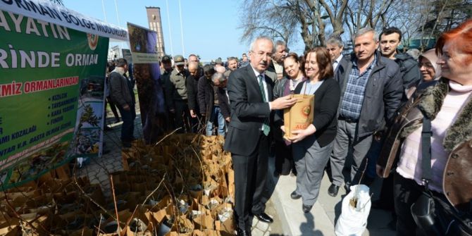 350 Bin Adet Fidan Ücretsiz Dağıtıldı