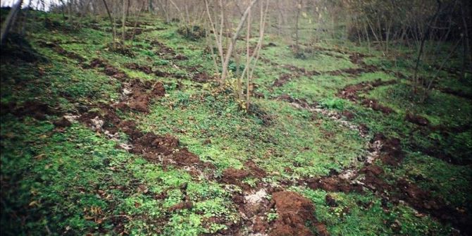 Fındık Üreticisi 2017 Sezonuna Hazırlanıyor