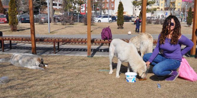 Hollandalı Genç Kızın Örnek Davranışı