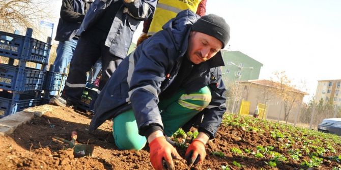 Mevsimlik Çiçek Dikimi Çalışmaları Devam Ediyor