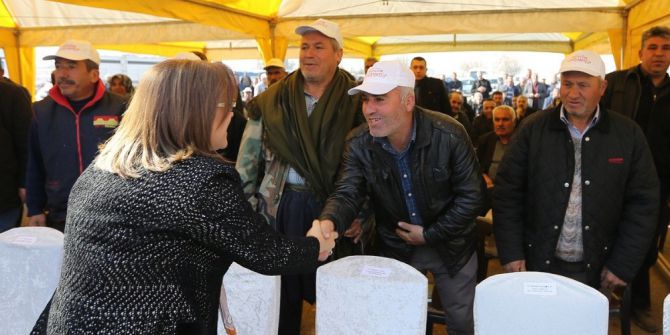 Büyükşehirden Çiftçilere ’Koyun Süt Yemi’ Desteği