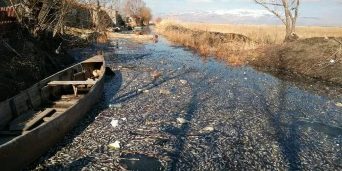 Eber Gölü’nde Yaşanan Toplu Balık Ölümleri