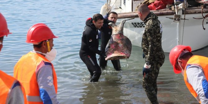 Bodrum’da Deniz Dibi Temizliği Gümbet’te Devam Etti
