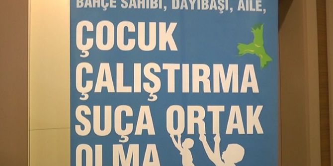 Mevsimlik İşçi Olarak Çalıştırılan Çocuklar İçin Çalıştay Yapıldı