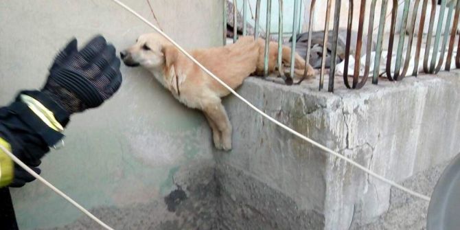 Demir Korkuluklara Sıkışan Köpeği İtfaiye Kurtardı