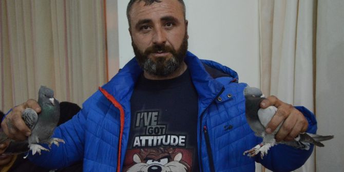 Mezatlarda Kıyasıya Satış