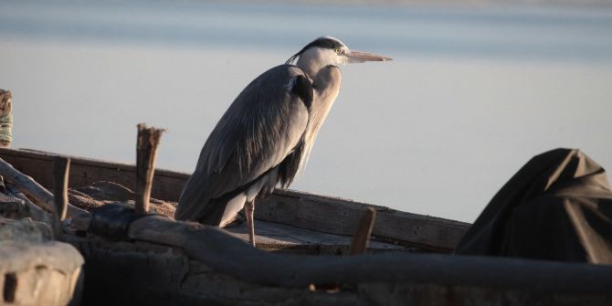Adana’nın Bilinmeyen Manzaraları