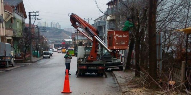 İzmit’te Ağaçlar Budanıyor