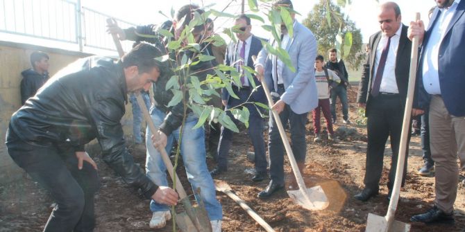 Silopi’de Köy Okulunda Ağaç Dikme Etkinliği