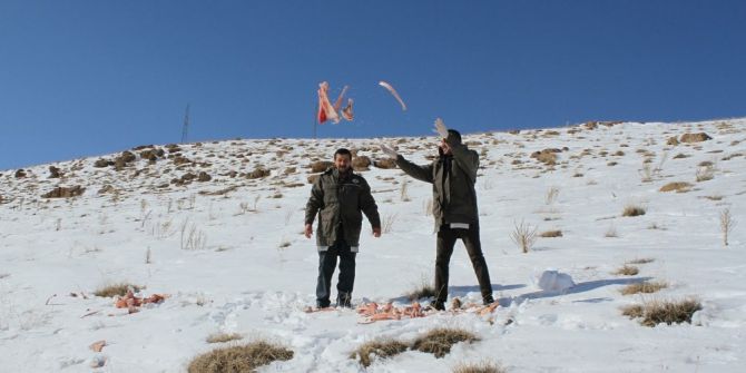 Yaban Hayvanlarına Yem Desteği