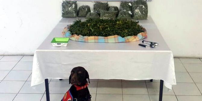 Yalova’da "Skunk" Adlı Yeni Nesil Uyuşturucu Ele Geçirildi