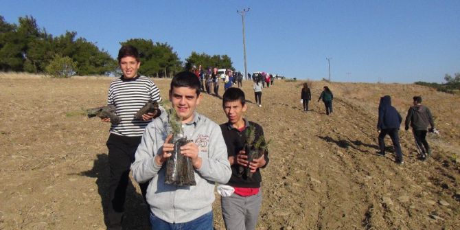 Yangında Kül Olan Ormana Öğrenciler 2 Bin Fidan Dikti