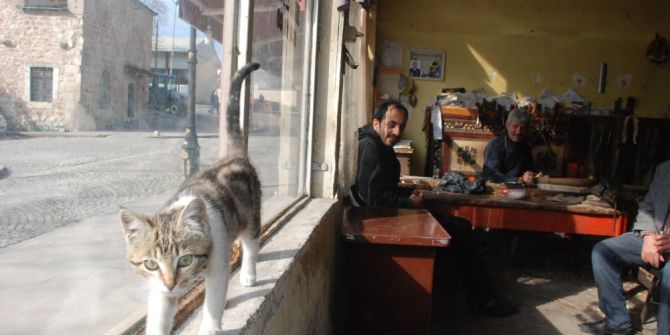 Artık Onun Da Sıcak Bir Yuvası Var