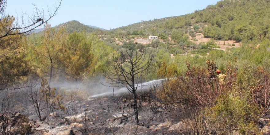 Bodrum’da Orman Yangını