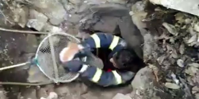 6 Metrelik Su Kuyusuna Düşen Kediyi, İtfaiye Kurtardı