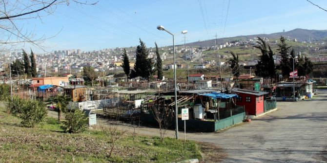 Hobi Bahçesi Piknik Alanı Olacak