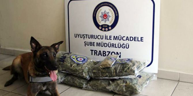 Trabzon’da Uyuşturucu Operasyonu