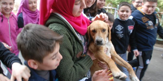 Okul Bahçesine Giren Yavru Köpek İlgi Odağı Oldu