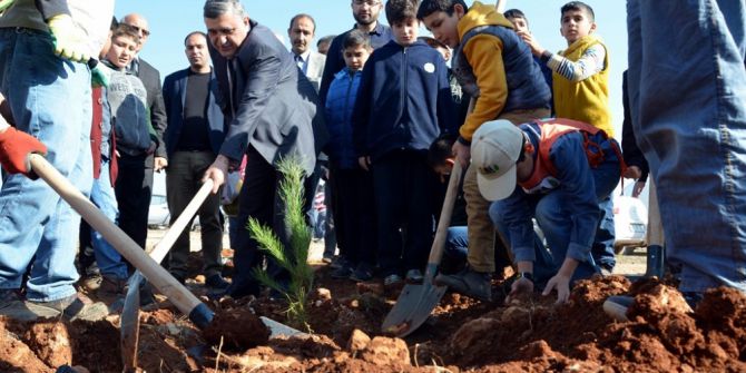 400 Minik Öğrenci Üniversiteye 10 Bin Fidan Dikti