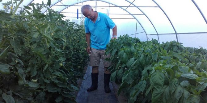 Tika’nın Tarım Projeleri Karadağ’da Çiftçilerin Yüzünü Güldürdü