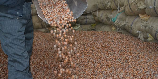 Fındık Çakıldı 9,75 Tl