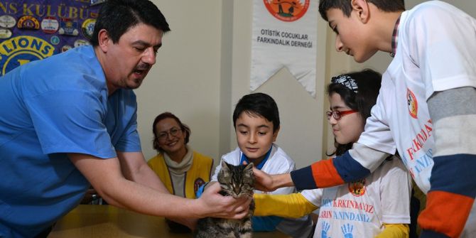 Her Şey Otizmli Çocuklar İçin