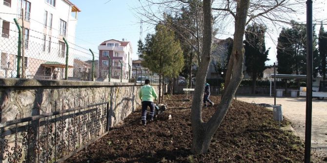 Başiskele’de Camilere Peyzaj Çalışması