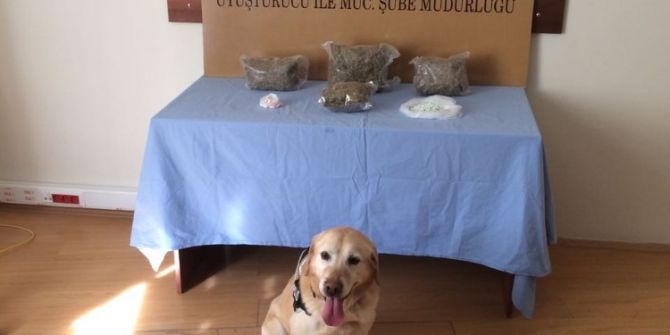 Ordu’da Zehir Tacirlerine Darbe