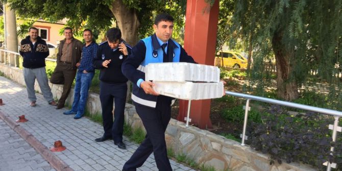 Şüpheli Kasayı, Kokusu Ele Verdi