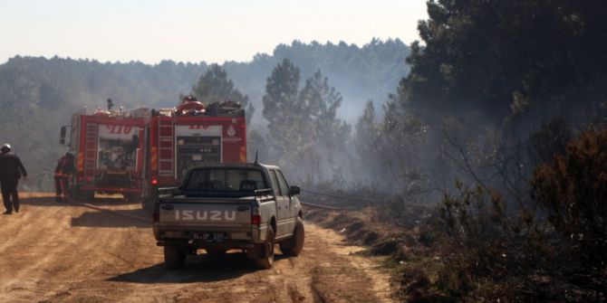 Sarıyer’de Orman Yangını