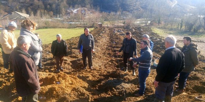Bartın’da 2 Köyde Kızılcık Bahçesi Kuruldu