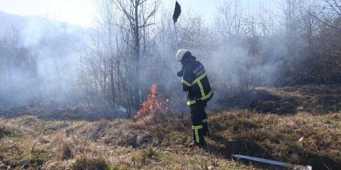 Kontrolsüz Şekilde Yakılan Lastik Çalılık Alanı Kül Etti