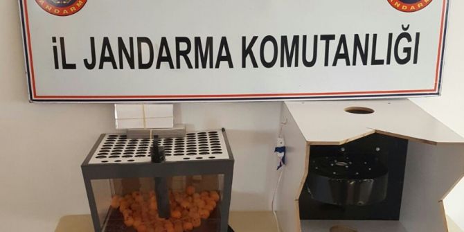 Manavgat’ta Kumar Baskını