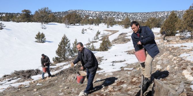 Mersin’de Yaban Hayvanları İçin Doğaya Yiyecek Bırakıldı
