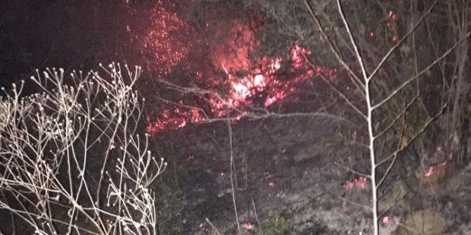 Orman Yangını Büyümeden Söndürüldü