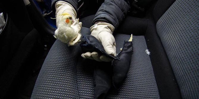 ’Sultan’lar Sınırda Yakalandı