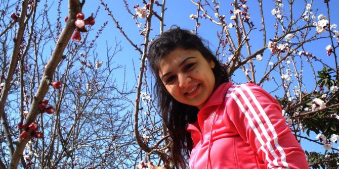 Sarıgöl’de Meyve Ağaçları Çiçek Açtı