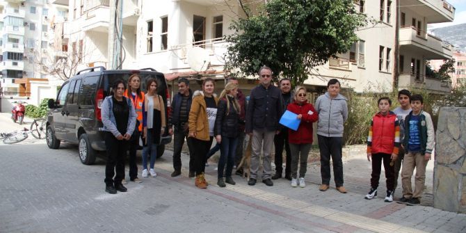 Alanya’daki Kedi Ölümlerine Hayvan Severlerden Tepki