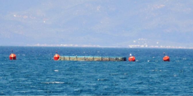 Ayvalık’ta Balık Çiftlikleri İçin Bilirkişi İncelemesi