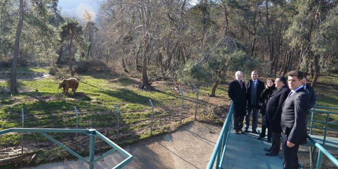 Bursa’ya Yaban Hayvanları Uygulama Ve Araştırma Merkezi Geliyor