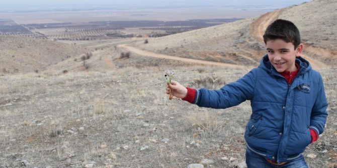 Malatya’nın Akçadağ İlçesinde "Nevruz Çiçekleri" Açmaya Başladı