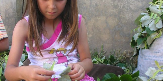 Ormanların Altını Ihlamur