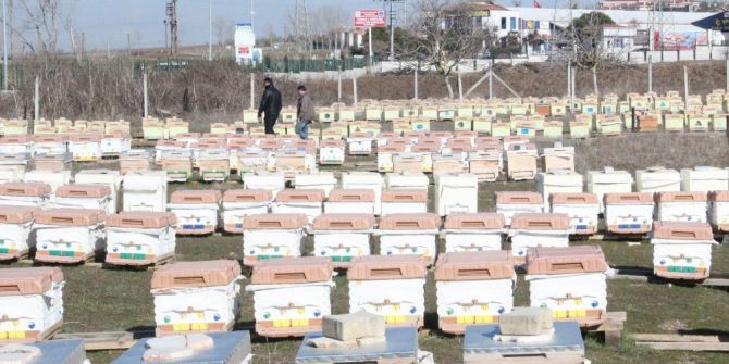 Kış Kayıplarında Çözüm İzolasyonlu Kovan